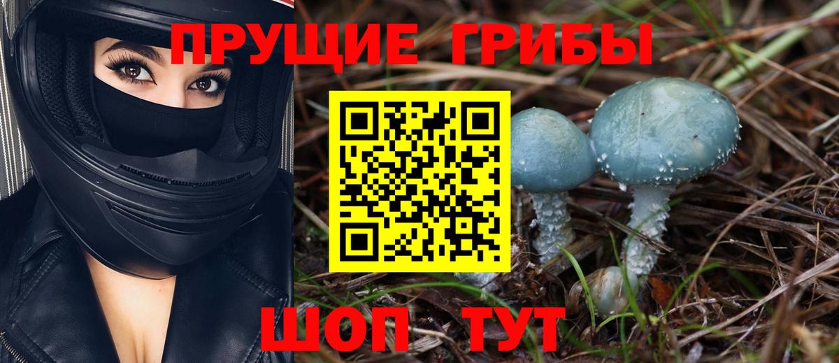 Псилоцибиновые грибы прущие грибы Дербент
