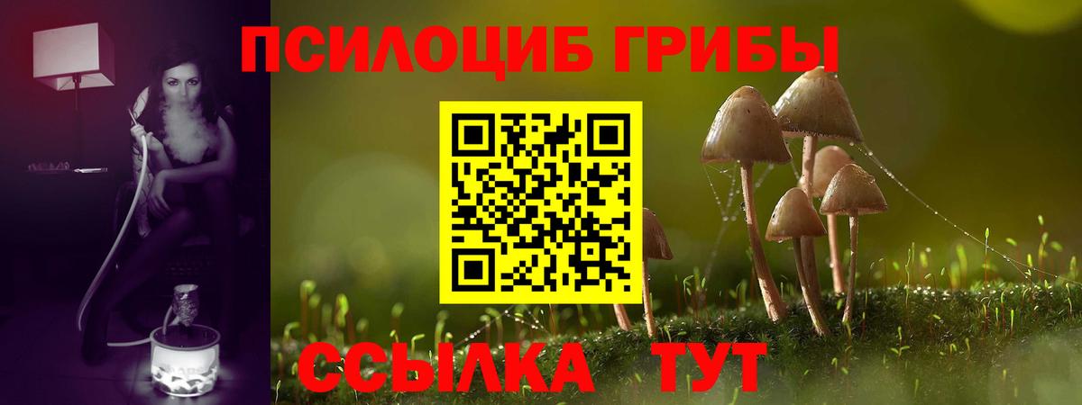 Галлюциногенные грибы Psilocybine cubensis  Вход с VPN  Дербент  Псилоцибиновые грибы GOLDEN TEACHER 